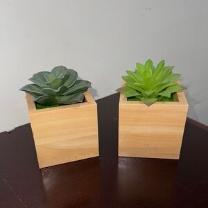 Green and Tan Succulent Planter Set